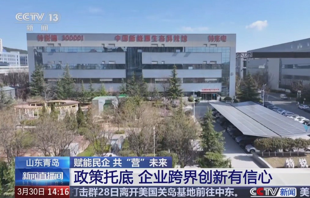 中国智造助力全球能源转型丨特锐德、特来电获央视新闻重点报道